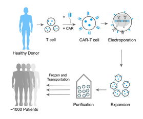 峰客专访邦耀生物 新一代细胞治疗技术通用型CAR T,大势所趋